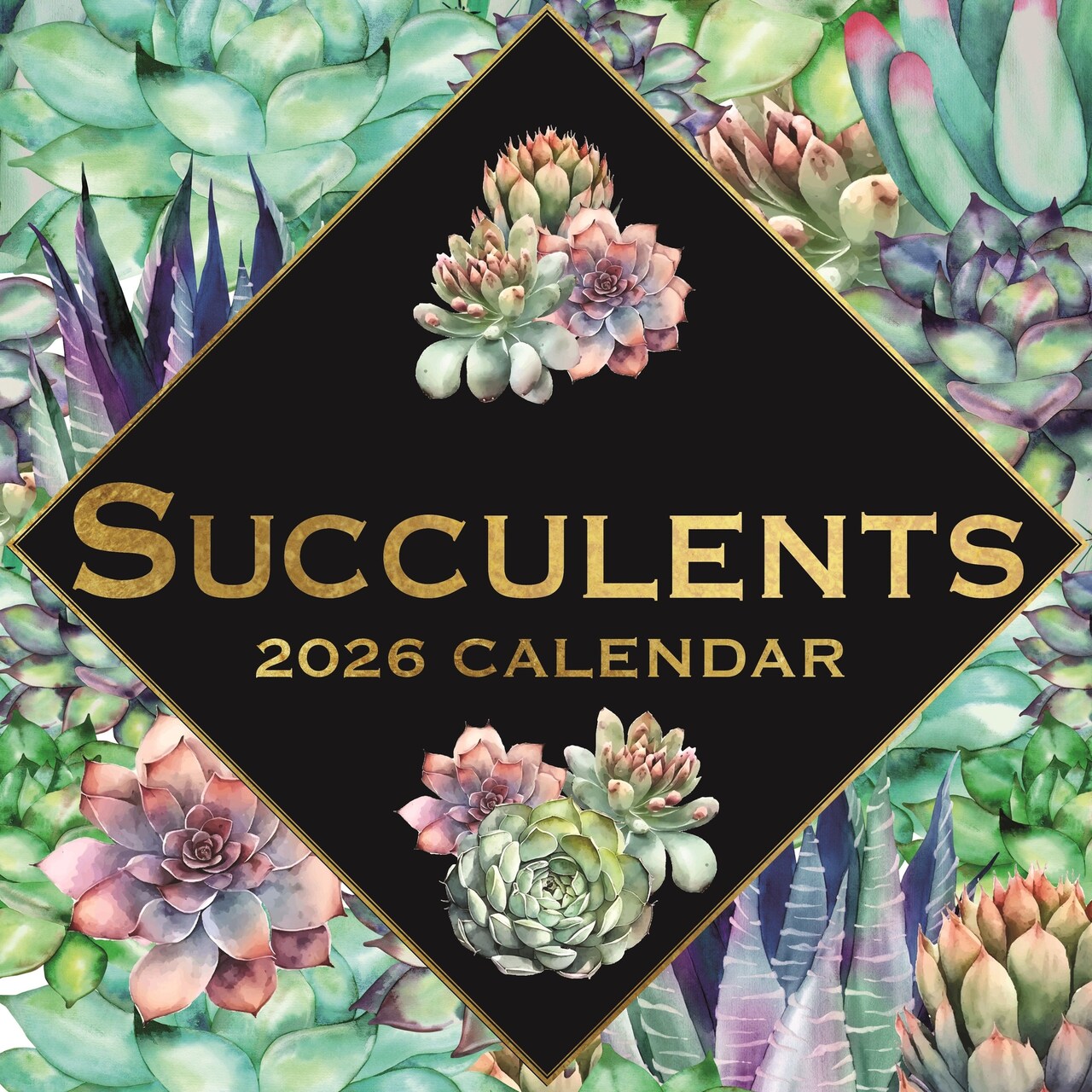 The Gifted Stationery 16-Month Square Wall Calendar - Succulent Artwork & 2026 Wall Planner - Includes 180 Reminder Stickers for 2026 Calendar - 12 x 12 in, Sep 2025-Dec 2026